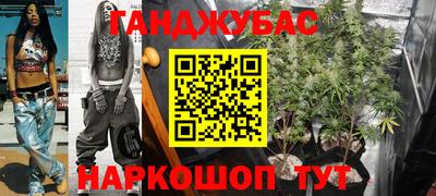 гашик Тара
